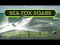 Sea fox soars  boats at jupiter inlet