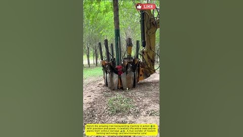 Magical Tree Uprooting Machine 🌳✨