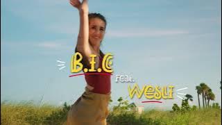 BIC ft WESLI -An Tranzit