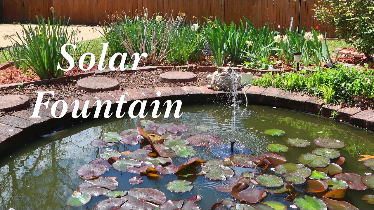 Solar Pond Fountain🌞CONXWAN Battery Backup Water Feature, Pond, Bird Bath👈 YouTube