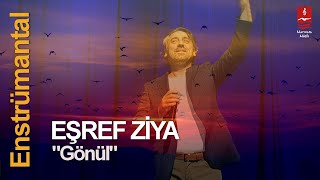 EŞREF ZİYA  \