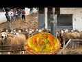 اليوم من ضيعة الريش محمد مفاجآت وحسنات تجمع الكساب بالباحثين عن كبش عيد الأضحى 2026 المغرب