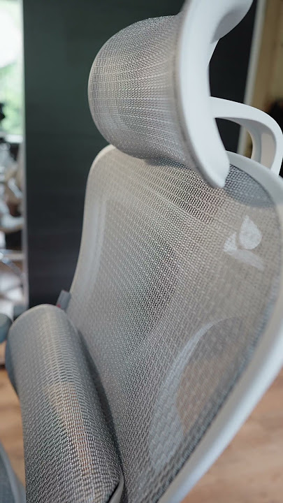 Sihoo M57 Full Mesh Breathable Office Chair for Sedentary Lifestyle