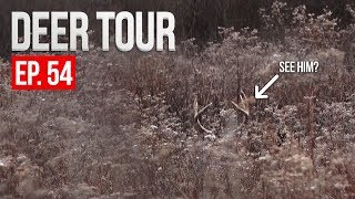 BIG BUCK BEDDED AT 60 YARDS! Iowa Public Land Gun Hunt - DEER TOUR E54 BIG BUCK BEDDED AT 60 YARDS! Iowa Public Land Gun Hunt - DEER TOUR E54