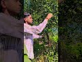 #TIMELAPSE​ START to FINISH Alone BUILD LOG Cabin (Wooden House) How To Build Wooden Cabin shorts349