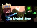 "The Labyrinth Meme" [Minecraft animation] {Sarah&Reifel}