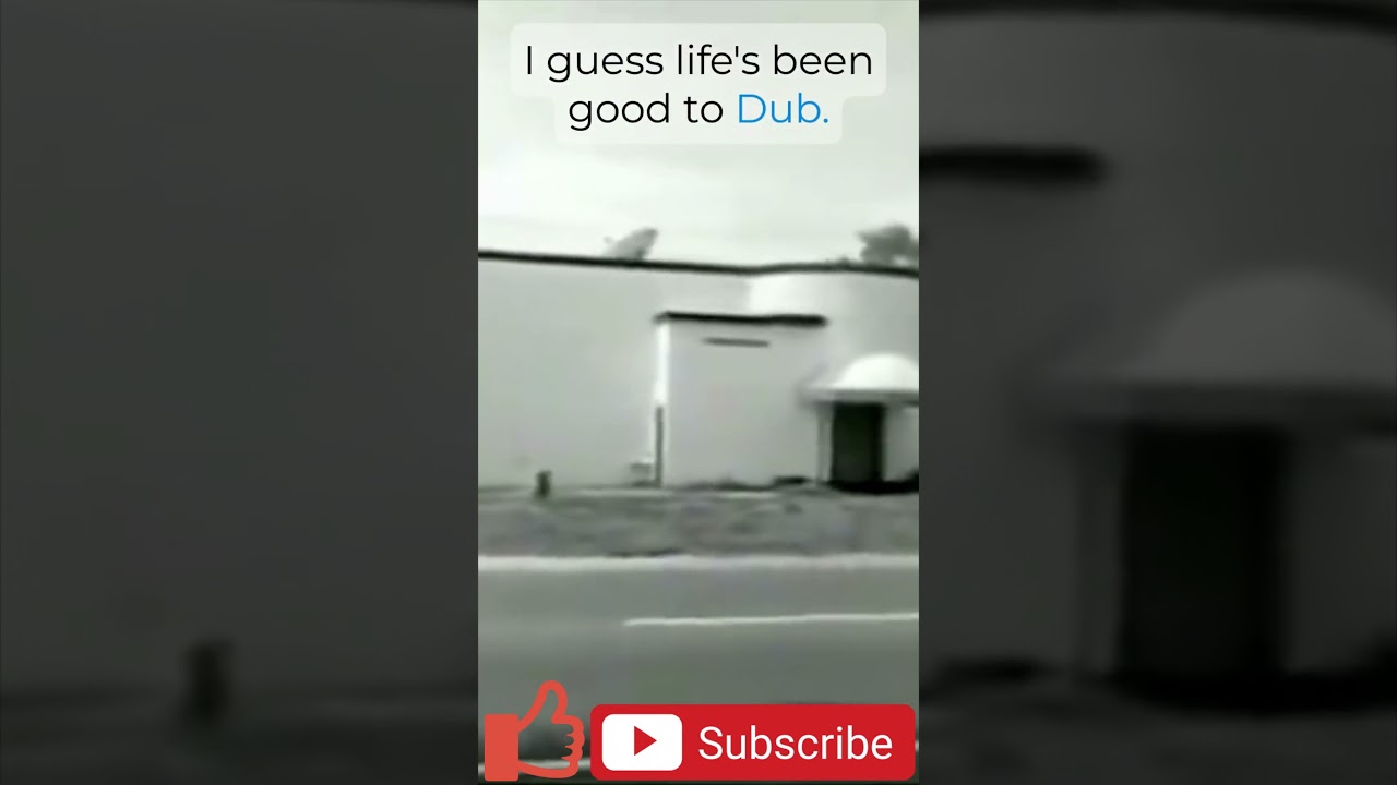 Six topless Go Go dancers