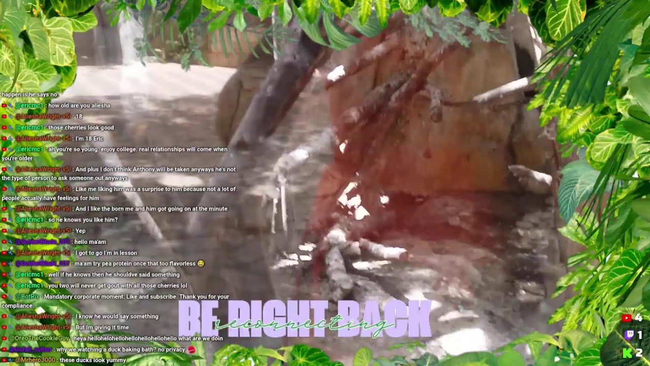 🔴 Live from Ireland with a Ukrainian Girl's IRL Europe Vlog [