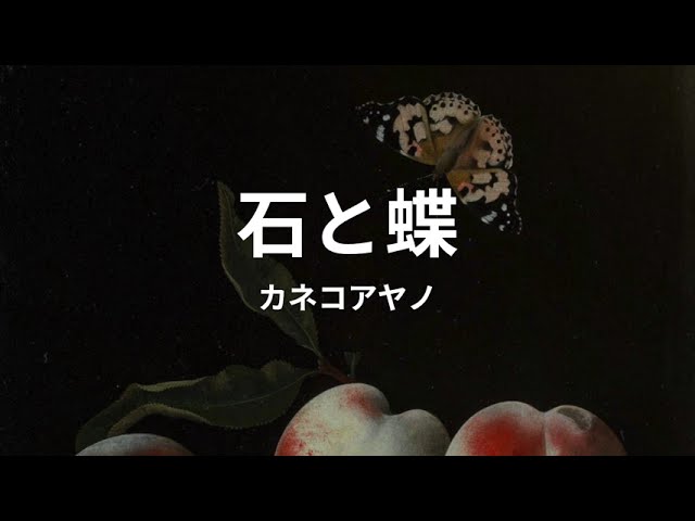 石と蝶: カネコアヤノ a stone and a butterfly: kanekoayano (lyrics
