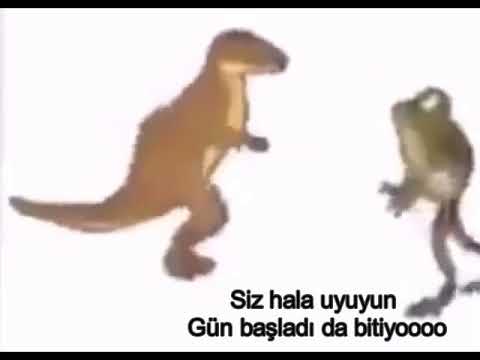 Günaydın siz hala uyuyun