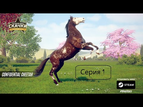 Rival Stars Horse Racing #прохождение #серия1