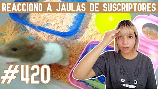 REACCIONO a JAULAS para HAMSTER de SUSCRIPTORES