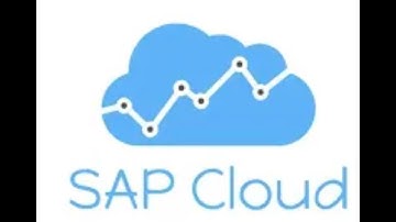 How to know which version of SAP S/4 Hana Public cloud you are using