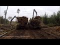 Work in forest,compilation..3