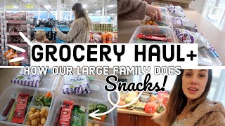 🛒$300 GROCERY HAUL & How I Prep My Kids Snack Boxes!