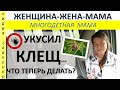 Укусил клещ. Болезнь Лайма Что делать? Женщина-Жена-Мама Лидия Савченко