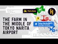 The Farmer That Lives in the Middle of Tokyo Narita Airport