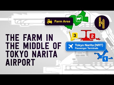 The Farmer That Lives in the Middle of Tokyo Narita Airport