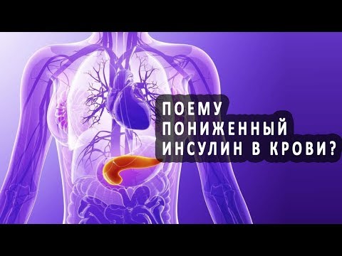 Как лечить поджелудочную железу в 2019 году