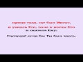 Видеобиблия. Евангелие от Иоанна. Глава 11