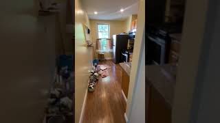 Large and Renovated 3bdrm on Nostrand Ave - Prospect Lefferts Garden