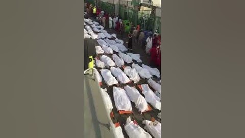 جثث الحجاج  الضحايا.. ملقاة على  الطريق