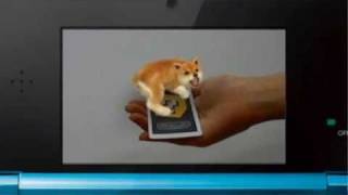 New Nintendogs Cats Gameplay Footage Including Augmented Reality For Nintendo 3Ds