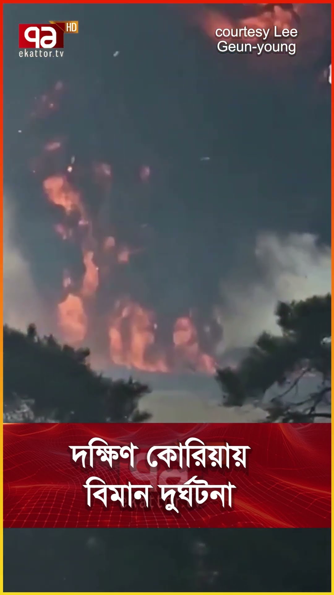 দক্ষিণ কোরিয়ায় বিমান দুর্ঘটরনা