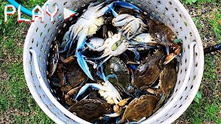 Epic Cajun Family Crabbing Adventure & Seafood Boil