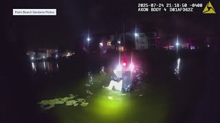 Florida police officers swim into alligator-infested waters to save woman from sinking car