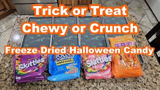 Can You Freeze Dry Halloween Candy? Trick Or Treat From Chewy To Crunch
