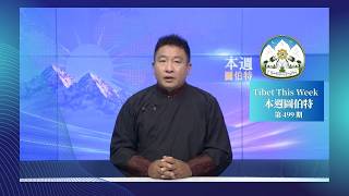 《本週圖伯特》第 499 期  2026 年 10 月 16 日 Tibet This Week：Chinese