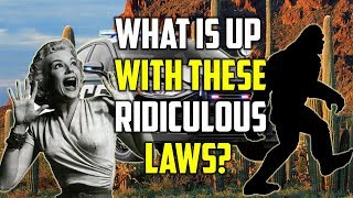 The Top 5 Dumbest Laws Of All Time In The USA by 10listings 22,687 views 6 years ago 2 minutes, 21 seconds