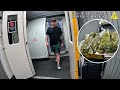Smuggler Caught With $200,000 Worth of Drugs at the Airport
