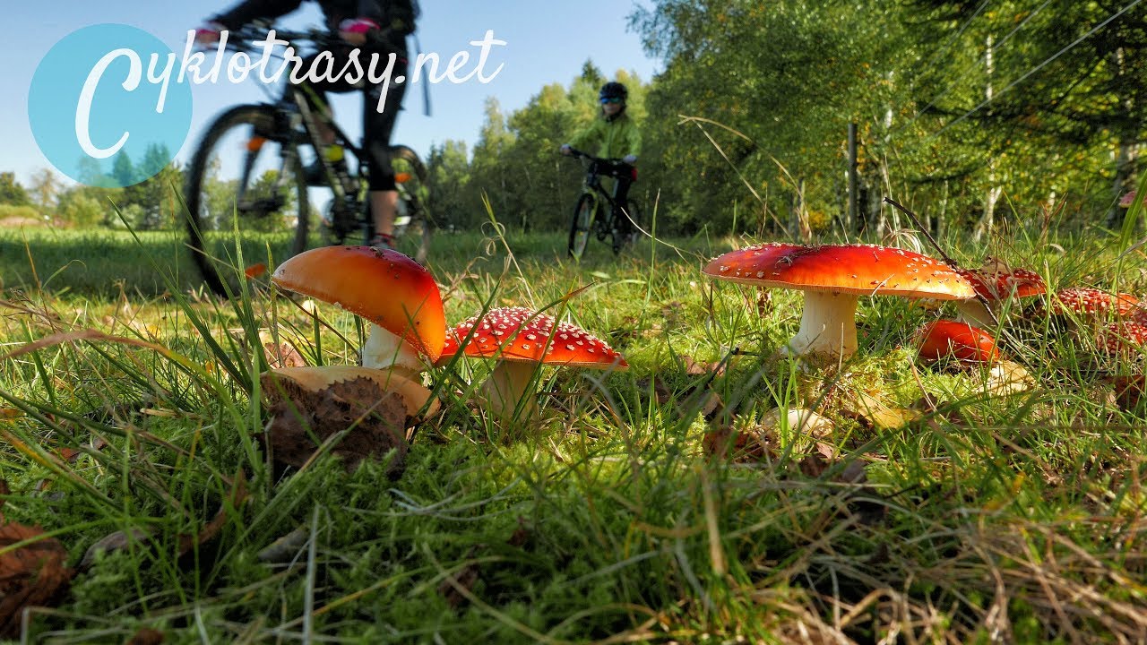 Cyklotrasy 020 - Žďárské vrchy (Ráj cyklistů, horolezců a houbařů)