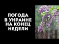 ТЕМПЕРАТУРА ВОЗДУХА &quot;ПОДПРЫГНЕТ&quot;: СИНОПТИК УТОЧНИЛА ПРОГНОЗ ПОГОДЫ НА КОНЕЦ НЕДЕЛИ