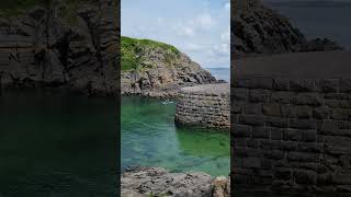 Stackpole Quay - paddle boarders 😀