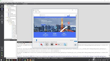 QT media player video