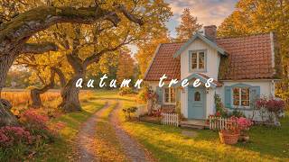 Pink Flowers Beneath the Autumn Trees 🏡 Gentle Piano for Cozy Reading & Quiet Afternoons screenshot 5