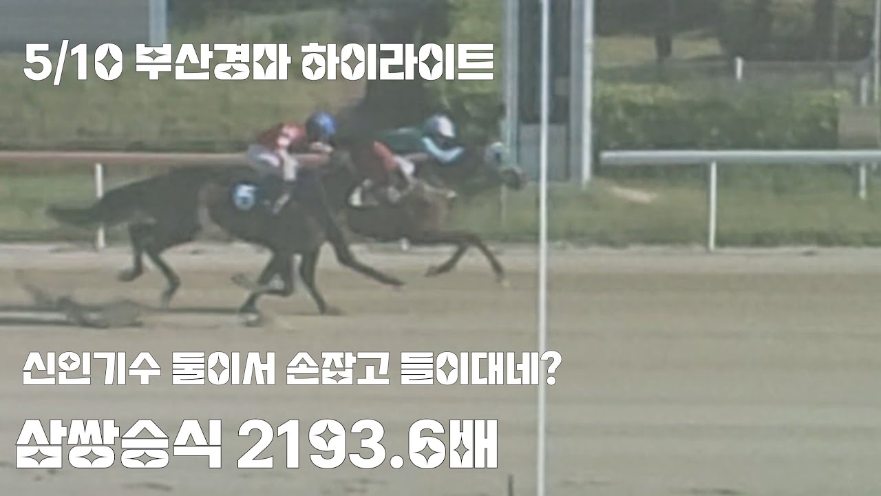 일요경마 잔잔하다가 이거하나 터지는 구나~(복식은 가뿐하게 마춰버립니다)