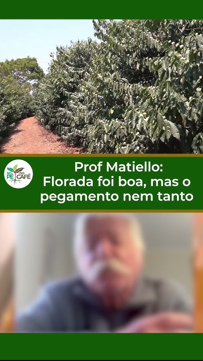 Como está o pegamento aí, cafeicultor??