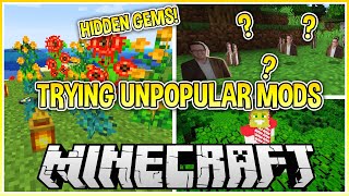 Trying the Least Downloaded Mods in Minecraft!