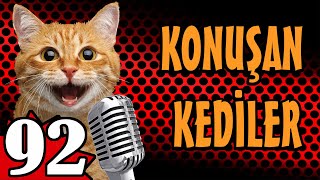Konuşan Kediler 92 - En Komik Kedi Videoları - Pati TV by Pati TV 112,418 views 3 months ago 10 minutes, 51 seconds