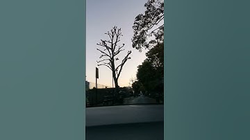 ما تيسر من سورة يس للشيخ محمد اللحيدان تلاوة خاشعة مريحة للقلب
