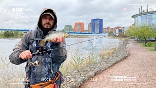 Городская рыбалка в Дубне. Майский мормышинг.