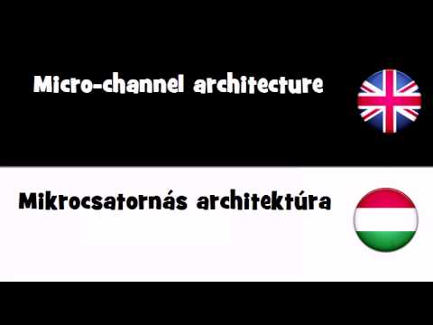 VOCABULARY IN 20 LANGUAGES = Micro channel architecture