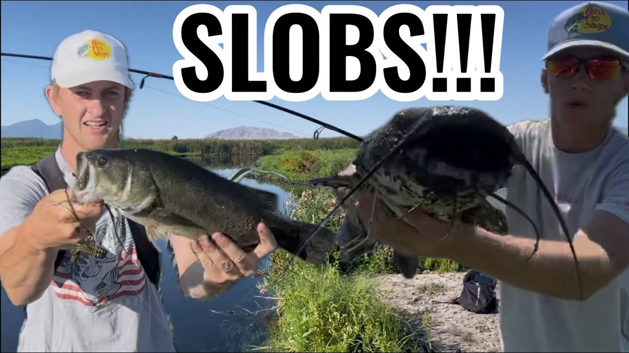 Big Bass and Channel Catfish!!! #largemouthbass  #catfish #foryou #utah #fishing #slobs