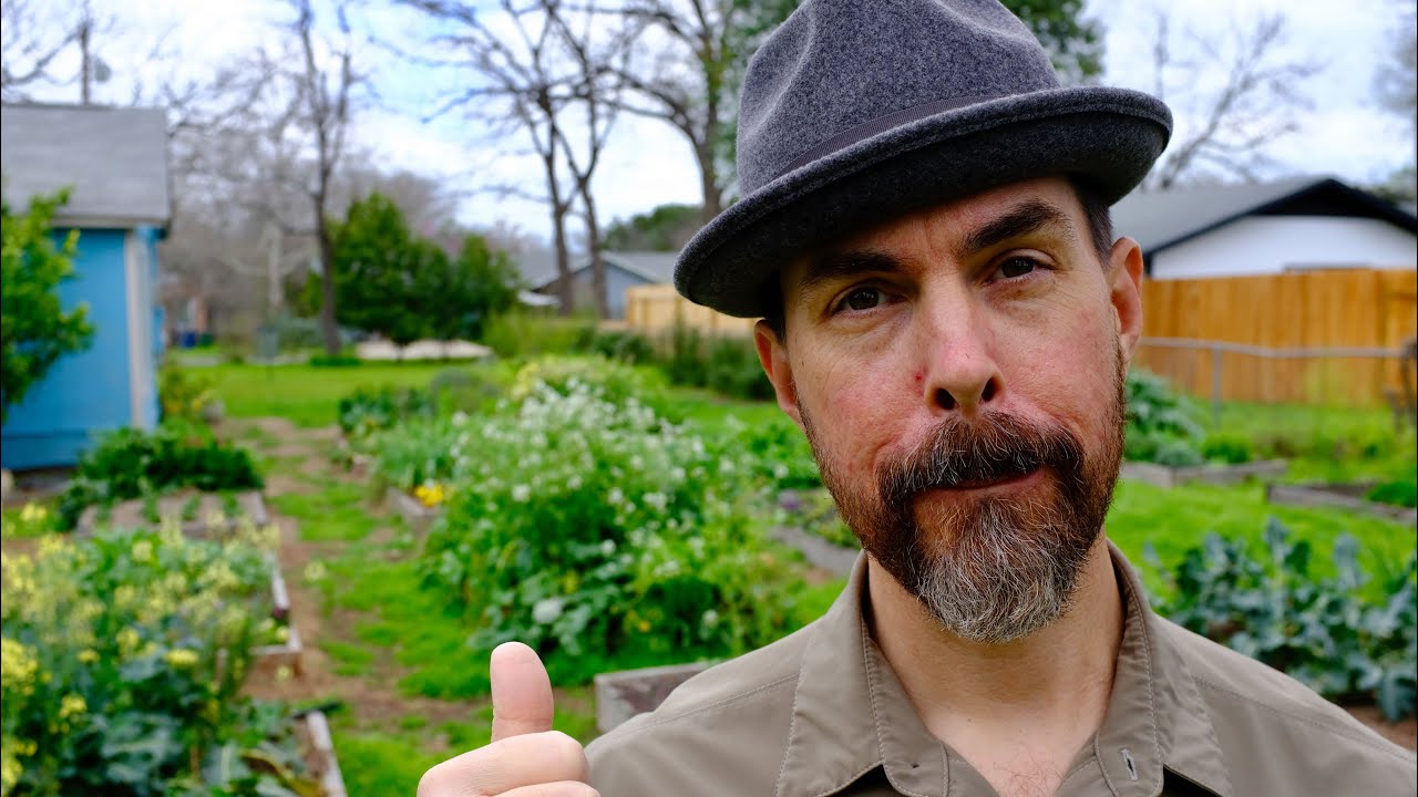 HOW TO PREPARE AND PLAN FOR A VEGETABLE GARDEN GARDENING TIPS YouTube