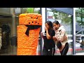 Funny Reactions To This Prank !! The Carrot Scares Everyone !!