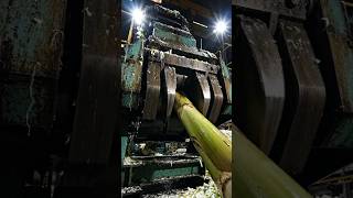 Inside the Largest High Tech Banana Stem Factory You’ve Never Seen Before! #satisfying #shorts